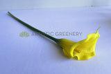 F0008 Faux Calla Lily / Arum Lily Stem 67cm Yellow | ARTISTIC GREENERY