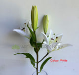 F0455 Artificial Lily Spray 79cm White / Pink | ARTISTIC GREENERY