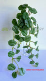 HP0103 Plastic Hanging Calathea Orbifolia 85cm Green | ARTISTIC GREENERY