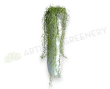 HP0104 Artificial Hanging Fish Hook / Air Plant / String of Hooks 90cm Green | ARTISTIC GREENERY