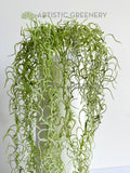 HP0104 Artificial Hanging Fish Hook / Air Plant / String of Hooks 90cm Green | ARTISTIC GREENERY