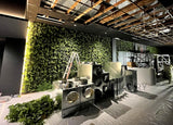 iDarts NIX Perth - Artificial Climbing Plants for Walls | ARTISTIC GREENERY