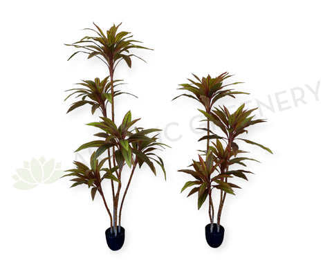 T0184 Faux Cordyline Fruticosa Tree / Ti Plant 140cm | 170cm | ARTISTIC GREENERY