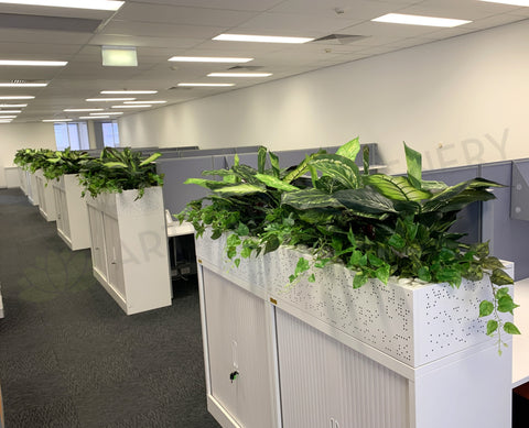 1 Tully Street EAST PERTH - Artificial Plants for Tambour Units & Throughout the Office | ARTISTIC GREENERY