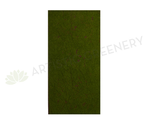 ACC-RT-5543 Moss Board 50x100cm