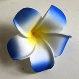 ACC0031 Frangipani / Plumeria Flowers (Floating) Blue / White / Pink / Orange