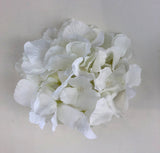 ACC0078 Hydrangea flower haed: 15cm diamter - $3.50 each