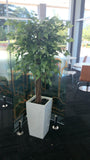 Cafe Dumas (Perth Parliament House) - Artificial Plants in Pots & Planter Boxes