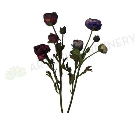 F0017 Ranunculus Spray 52cm Burgundy / Purple