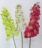 FA1028 - White Orchid Floral Arrangement