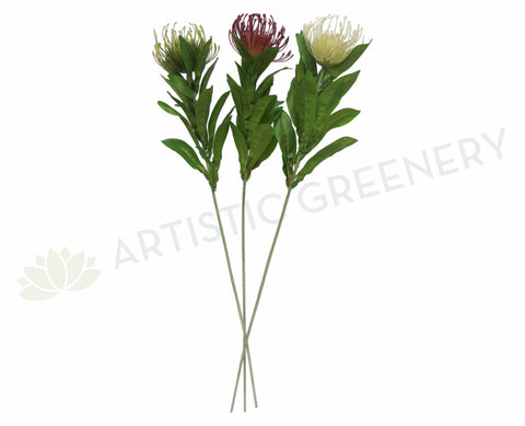 Protea Pincushion Single Stem