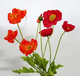 F0111 Poppy 4 heads (red or orange) 60cm zoom