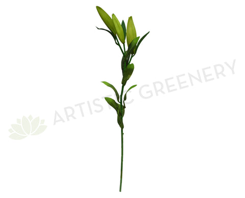 F0121 Lilium buds 78cm