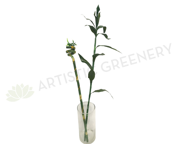 artificial lucky bamboo stems F0190A Artificial Lucky Bamboo Leaves 90cm & F0190B Spiral Lucky Bamboo  74cm Australia Fake Plant Supplier – Artistic Greenery