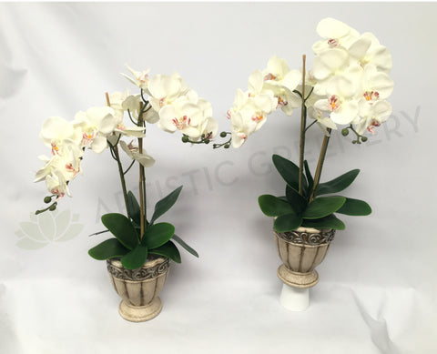FA1028 - White Orchid Floral Arrangement