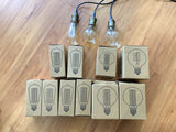 For Hire - Festoon Lights 4.5meters 9 Globes Perth Hire (Code: HI0026)) | ARTISTIC GREENERY