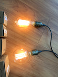 For Hire - Festoon Lights 4.5meters 9 Globes Perth Hire (Code: HI0026)) | ARTISTIC GREENERY
