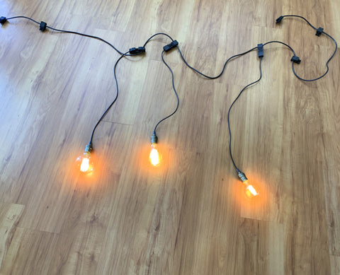 For Hire - Festoon Lights 4.5meters 9 Globes Perth Hire (Code: HI0026)) | ARTISTIC GREENERY