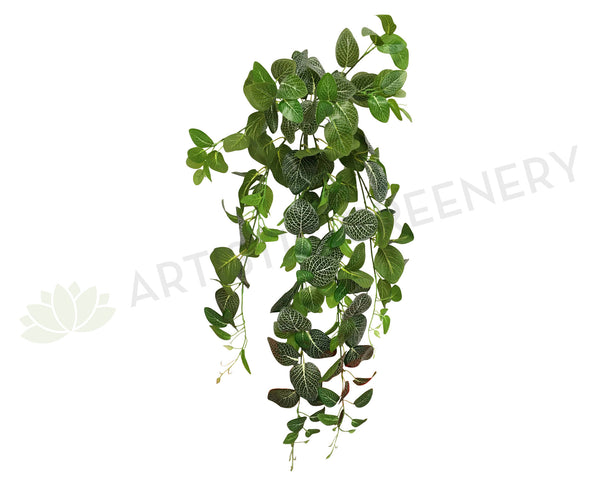 nerve plant hanging HP0034 Artificial Hanging Nerve Plant (White Veins) / Fittonia 80cm Real  Touch