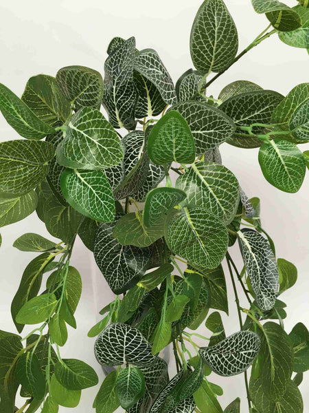 hanging nerve plant HP0034 Artificial Hanging Nerve Plant (White Veins) / Fittonia 80cm Real  Touch