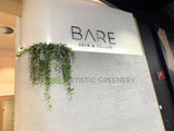 Bare Skikn & Beauty (Ellenbrook) - Hanging Greenery for Shop Front Display | ARTISTIC GREENERY