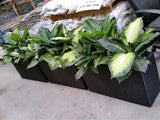 Beaumonde Catering - Artificial Plants in Troughs