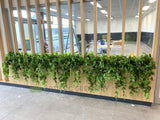 Coles Distribution Centre Canteen Kewdale  - Hanging Greenery for Built-in Planters