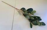 LEA0080 Seeded Eucalyptus Foliage 73cm 2 Styles