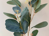 LEA0080 Seeded Eucalyptus Foliage 73cm 2 Styles