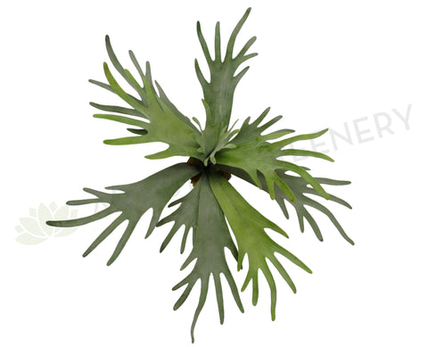 SP0148 Staghorn Fern Large (Real Touch) 2 Sizes