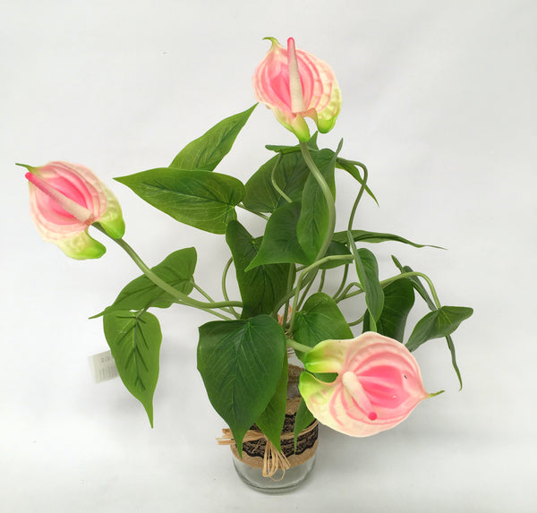 FA1041 Potted Plant Red Anthurium (40cm high) coffee table plant