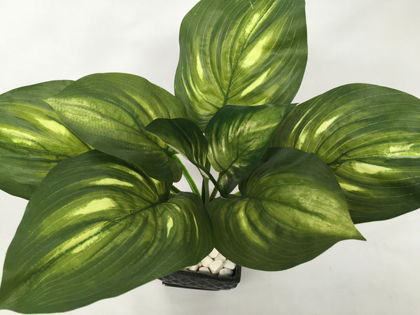 plastic hosta plants SP0206 Artificial Golden Pothos Hosta Plant 52cm