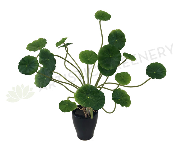 money plant australia SP0298 Artificial Chinese Money Plant / Pilea peperomioides / Pancake Plant  Perth Australia – Artistic Greenery
