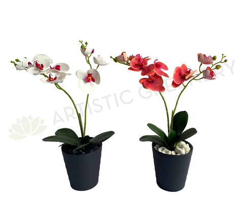 SP0400 Artificial Phalaenopsis Orchid with Leaves 54cm White / Pink | ARTISTIC GREENERY