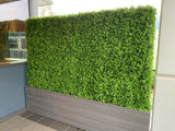 ACC0066 Greenery Mat / Greenery Panel (Gynura Leaves) 60x40cm