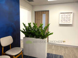 WA Psychiatry & ADHD Clinic (Karrinyup WA) - Artificial Plants for Planters | ARTISTIC GREENERY