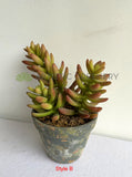 ACC0112 Faux Potted Succulent 4 Styles | ARTISTIC GREENERY 