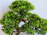 BON003 Artificial Bonsai 45cm - Green - High Quality | ARTISTIC GREENERY