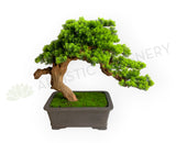 BON004 Artificial Bonsai 60cm - Green - High Quality | ARTISTIC GREENERY