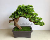 BON004 Artificial Bonsai 60cm - Green - High Quality | ARTISTIC GREENERY