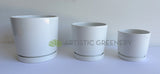 CER0027WHI Straight Cylinder Ceramic Pots - White Gloss - 3 Sizes | ARTISTIC GREENERY