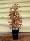 CT005 Artificial Sacred Bamboo 150cm Autumn Style | ARTISTIC GREENERY