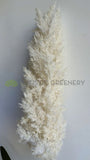 DS0061 White Synthetic Pampas Grass Stem 110cm | ARTISTIC GREENERY