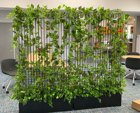 Edith Cowan University (ECU) Bunbury Campus - Artificial Climbing Plants for Planters | ARTISTIC GREENERY