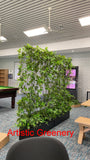 Edith Cowan University (ECU) Bunbury Campus - Artificial Climbing Plants for Planters | ARTISTIC GREENERY