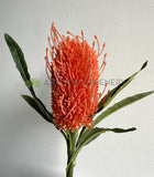 F0218 Faux Banksia Stem 60cm Orange (Artificial Australiana Flowers Perth) | ARTISTIC GREENERY