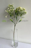 F0229L Queen Anne's Lace / Wild Carrot / Cow Parsely 60cm Large