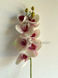 F0235 Real Touch Phalaenopsis Orchid / Butterfly Orchid 77cm Light Pink | ARTISTIC GREENERY