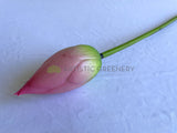 F0259 Artificial Water Lily Bud (Lotus Flower Bud) 93cm Pink / White | ARTISTIC GREENERY