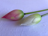 F0259 Artificial Water Lily Bud (Lotus Flower Bud) 93cm Pink / White | ARTISTIC GREENERY
